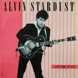 ALVIN STARDUST A PICTURE OF YOU Виниловая пластинка 