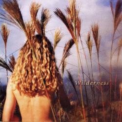SOPHIE B. HAWKINS Wilderness Фирменный CD 
