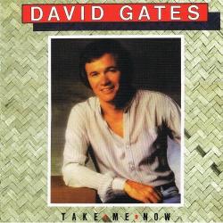 DAVID GATES TAKE ME NOW Виниловая пластинка 
