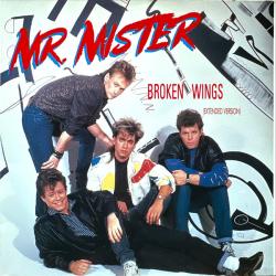 MR. MISTER BROKEN WINGS (EXTENDED VERSION) Виниловая пластинка 