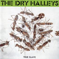The Dry Halleys True Slave Фирменный CD 