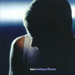 Hothouse Flowers Born Фирменный CD 