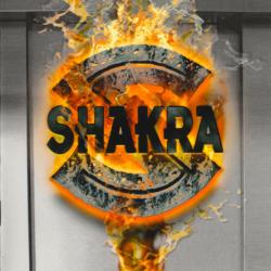 SHAKRA Rising Фирменный CD 