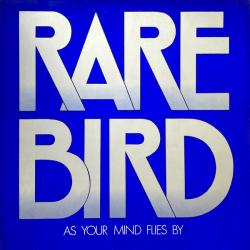 RARE BIRD As Your Mind Flies By Виниловая пластинка 