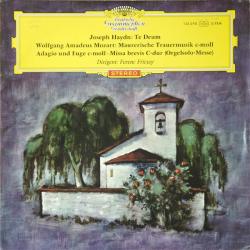 HAYDN   MOZART Te Deum / Mauererische Tauermusik C-Moll / Adagio Und Fuge C-Moll / Missa Brevis C-Dur (Orgelsolo-Messe) Виниловая пластинка 