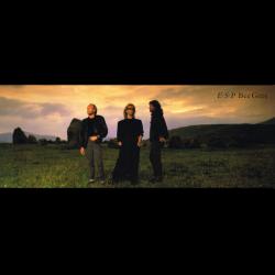 BEE GEES E.S.P Виниловая пластинка 