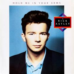 RICK ASTLEY Hold Me In Your Arms Виниловая пластинка 