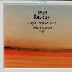 Sigfrid Karg-Elert - Wolfgang Stockmeier Organ Works Vol. 5 & 6 Фирменный CD 