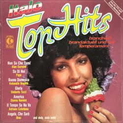 VARIOUS ITALO TOP HITS Виниловая пластинка 