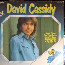DAVID CASSIDY BELL GREATS DAVID CASSIDY Виниловая пластинка 