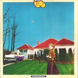 UFO Phenomenon Виниловая пластинка 