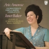 ARIE AMOROSE