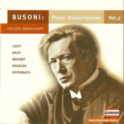 Busoni, Holger Groschopp Piano Transcriptions Vol.2 Фирменный CD 