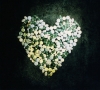 This Addiction This Addiction