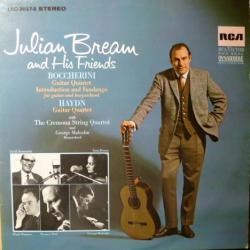 JULIAN BEAM JULIAN BEAM AND FRIENDS Виниловая пластинка 