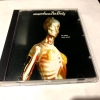 Music From The Body