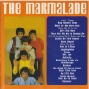 THE BEST OF THE MARMALADE