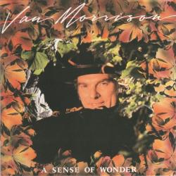 VAN MORRISON A Sense Of Wonder Фирменный CD 