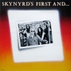 Skynyrd's First And... Last