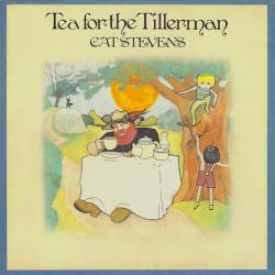 CAT STEVENS Tea For The Tillerman Виниловая пластинка 