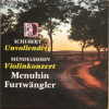 Unvollendete - Violinkonzert